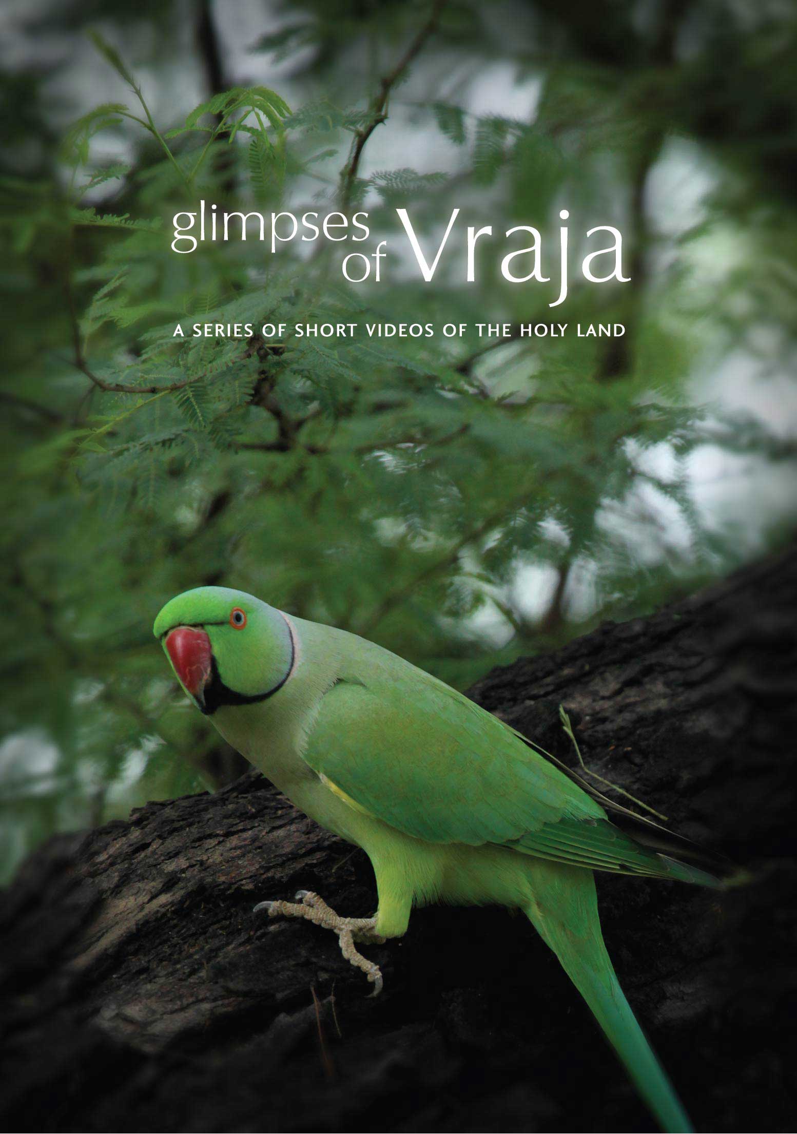 Featured image for “Glimpses of Vraja”