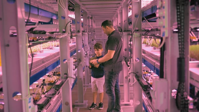 Featured image for “Vertical Farming in Dubai – Corporate mini documentary”